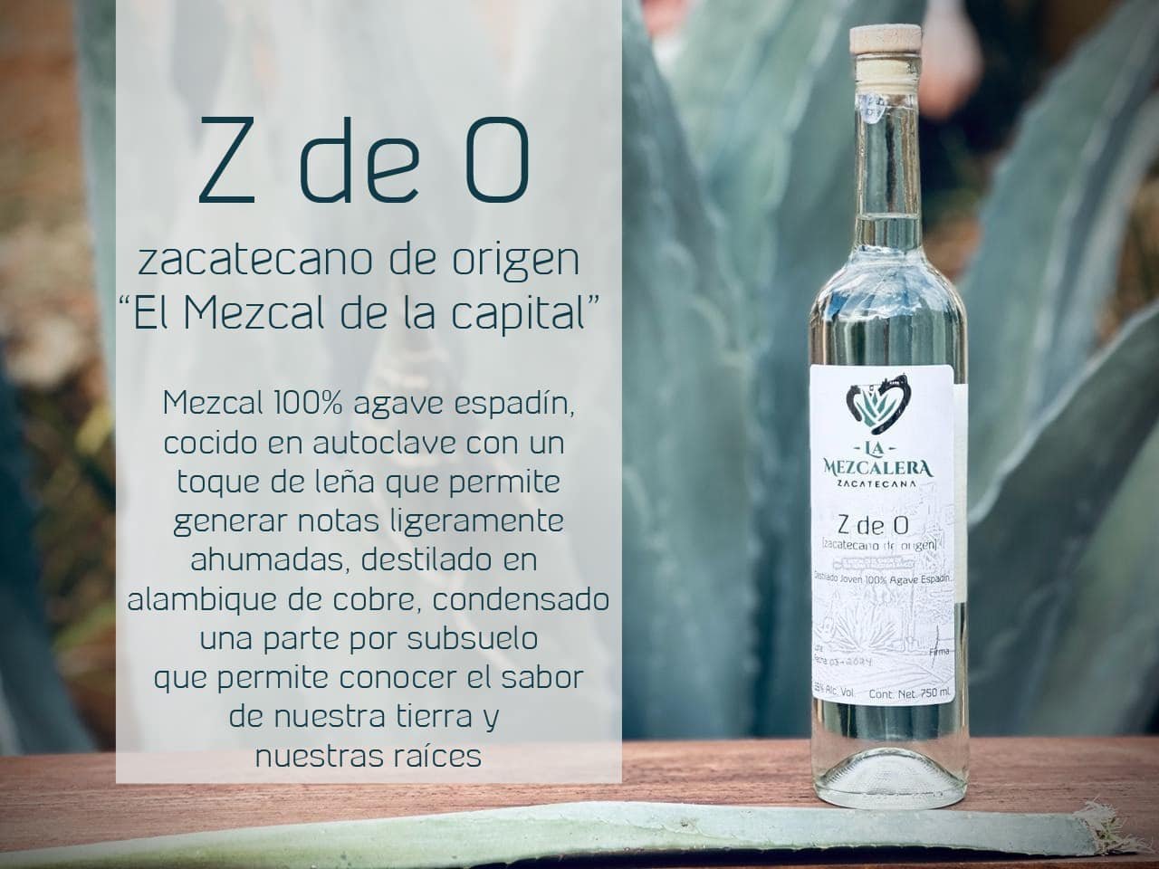 Mezcal Z de O