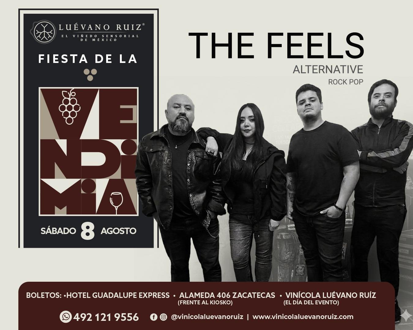 THE FEELS Alternative Rock Pop